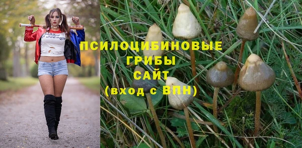хмурый Киреевск