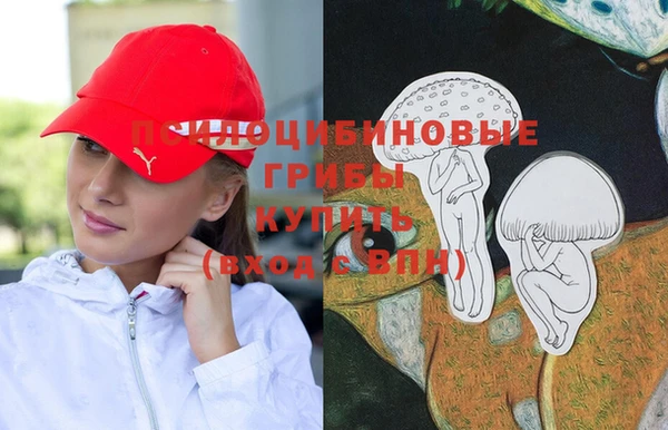 2c-b Карпинск