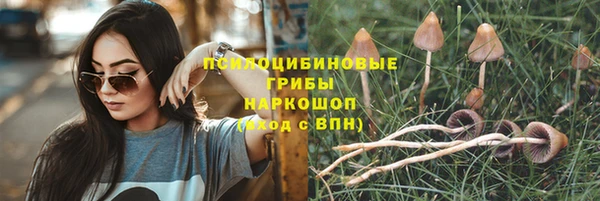 хмурый Киреевск