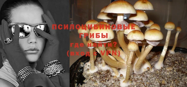меф Каменск-Шахтинский